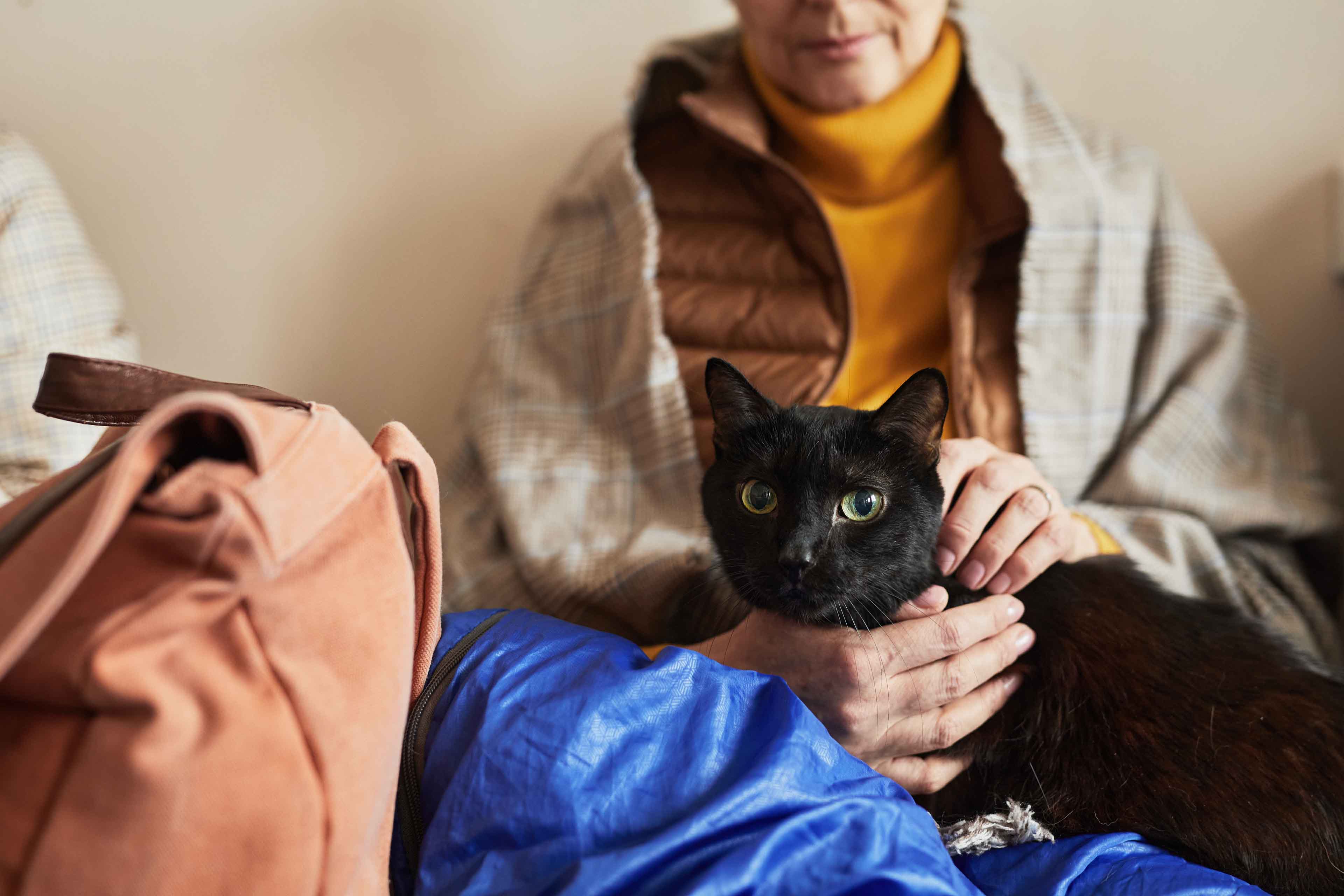 Eine Person mit einer karierten Decke und einem gelben Pullover sitzt mit einer schwarzen Katze auf dem Schoß neben einer braunen Tasche. Die Szene vermittelt Wärme und Kameradschaft.