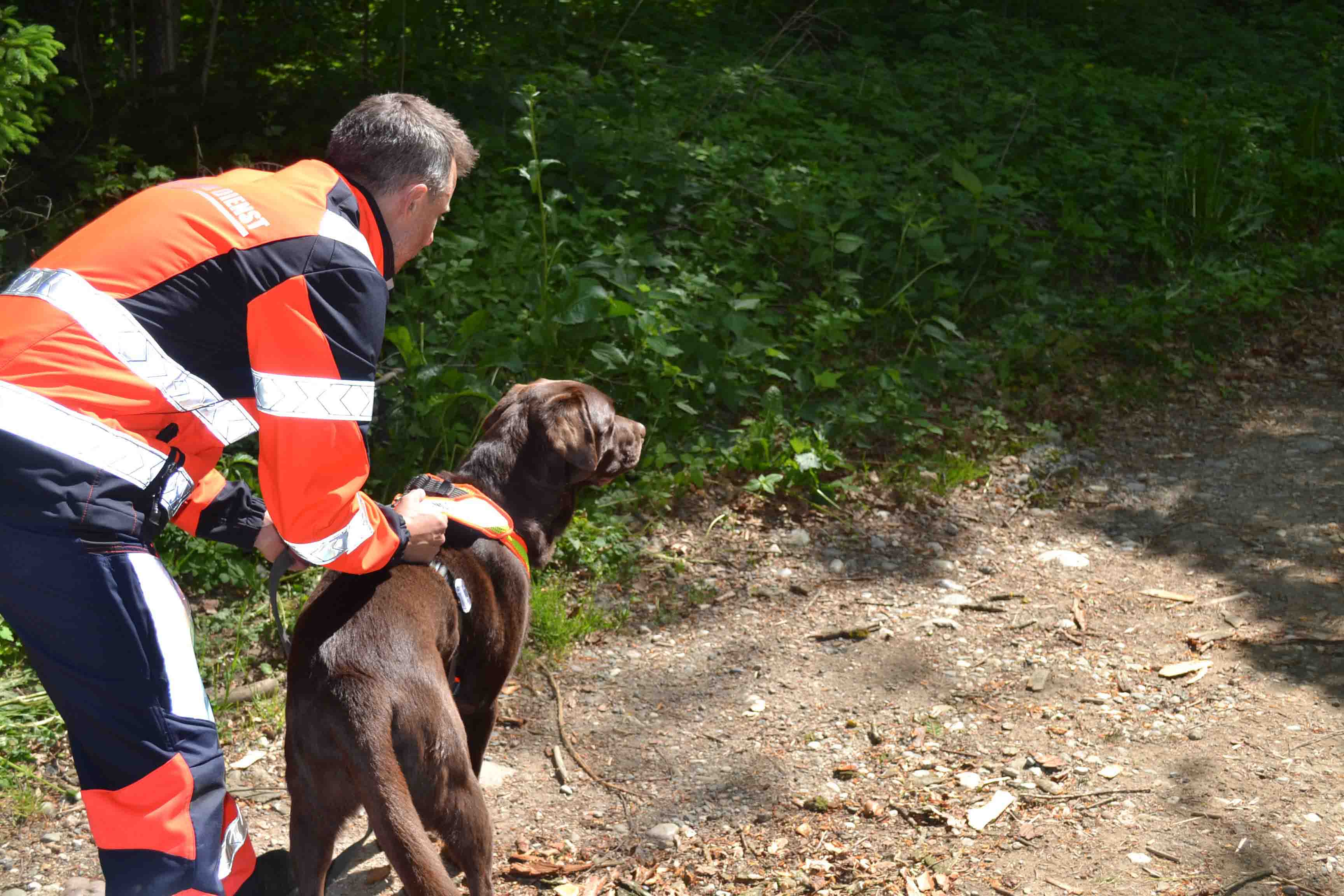 Rettungskräfte in orangefarbenen Uniformen kümmern sich um eine Person, die neben einem Krankenwagen auf der Straße liegt. Ein Feuerwehrmann geht in der Nähe, aus einem Auto steigt Rauch auf. Rechts ist ein weiteres Fahrzeug zu sehen. Die Szene scheint ein Straßenunfall zu sein.